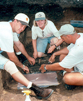 Photo of people digging