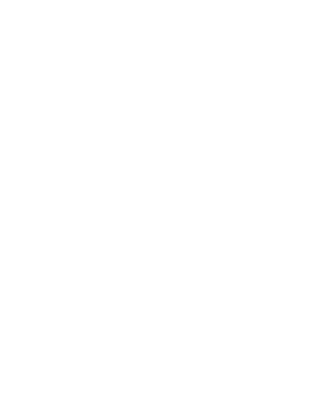 250 Anniversary Badge white